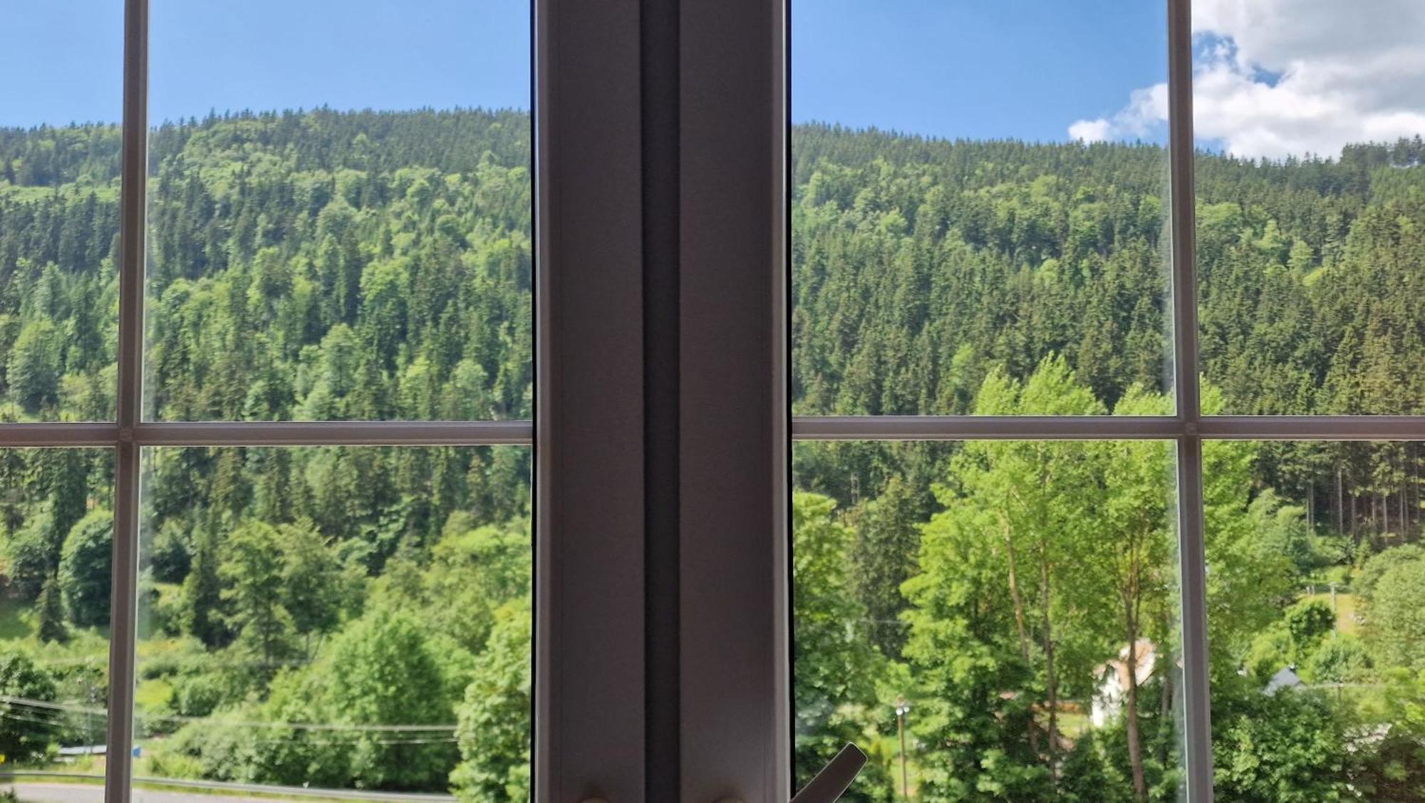 Pension Pstruzi Abertamy Exterior foto